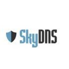 SkyDNS Домашний (на 1 год)