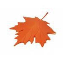 Qualy Подпорка для двери Autumn оранжевая арт. QL10072-OR