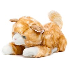 Аврора рыжий котенок 28 см