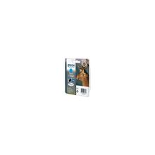 Epson Epson C13T13024010