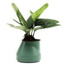 Qualy Горшок цветочный hill pot, маленький, зеленый арт. QLX20001-GN