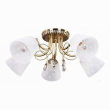 Omnilux Larone OML-54607-05
