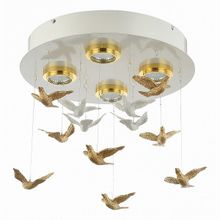 Favourite Rudel 1782-4U