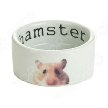 Beeztees 801700 Hamster