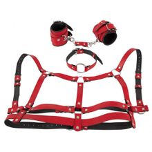 Красный комплект БДСМ-аксессуаров Harness Set (244289)
