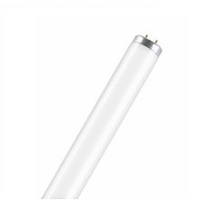 OSRAM Люминесцентная лампа OSRAM L40 640 SA  G13