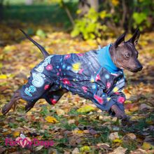 Комбинезон для собак ForMyDogs из мембранной ткани для девочек FW339-2016 F