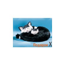 Сувенир  Кошка L спящая с котенком