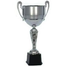 Кубок 4070 D, Брегет