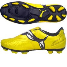 Бутсы Puma V4.11 I Fg 102332 04