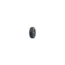 Nokian (255 40 R19 100T Nokian Hakkapeliitta 7 - XL) 255 40 R19