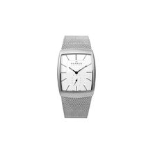 Мужские часы Skagen 915XLSSS