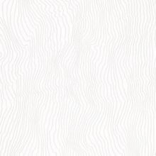 Marburg Project 31831 31831