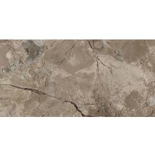 Ceramica Classic Nemo Nemo Табачный 08 01 17 1346 плитка настенная 200 мм*400 мм