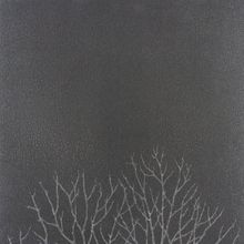 La Fabbrica Fusion Titanium Wood Lap Liscia Ret Set 3 Pz 49x49 см