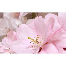 Декоративный массив Букет розовый (07-00-5-09-01-41-662) 25х40 (15шт)