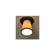 Lussole LSL-2300-01 DOWNLIGHTS точечный накладной светильник