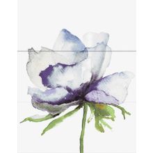 Керамическая плитка Novogres Wind Michaela Viola Decor (3 шт.) панно 70х90