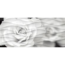 Декор Cersanit Wave Blackflowers WA2G442D 200х440
