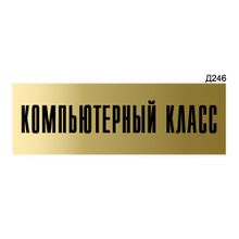 Информационная табличка «Компьютерный класс» прямоугольная Д246 (300х100 мм)