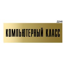 Информационная табличка «Компьютерный класс» прямоугольная Д246 (300х100 мм)