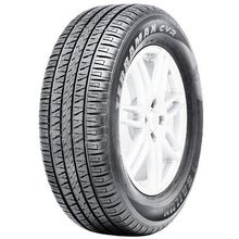 Dunlop Winter Maxx WM02 225 55 R17 101T