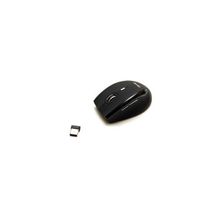 Мышь Chicony MS-5805W USB, беспроводная 1600dpi, nano-receiver 2.4G, optical, black color, blister