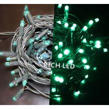 Rich LED RL-S10C-24V-RG G Уличная светодиодная гирлянда Нить 10 м, зеленый, пост свечение, провод резиновый зеленый