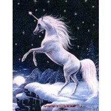 Магия лунного света