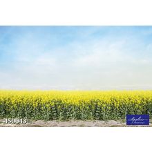 Фреска Applico 450043