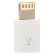 переходник Ginzzu Lightning - microUSB для Apple iPhone 5 5S 5C, iPad 4, mini, GC-553
