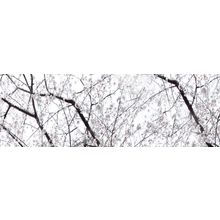 Ibero Concept Life Dec M 25x75 см