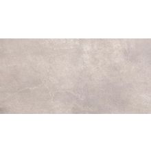 Arcana Ceramica Avenue-R Gris 59.3x119.3 см