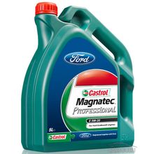 Castrol Castrol моторное масло Magnatec Professional E 5W-20 (151A95 15800D) 5л