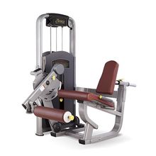 Bronze Gym MV-014 Разгибание ног сидя