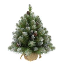 Триумф Елка Триумф Императрица с шишками в мешочке заснеженная 73810 (90 см)