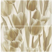 Керамическая плитка Paradyz Coraline Panel Tulipany панно 60х60