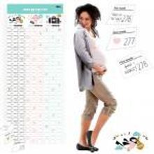 Doiy Календарь для беременных Baby on the way арт. DOBCBAS