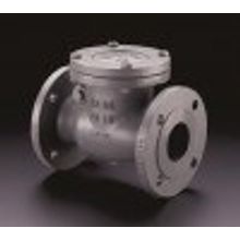 1073052 Клапан обратный Ду 80