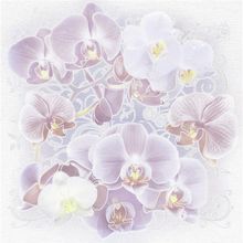 Панно Altacera Orchids S 2 SW9ORH02 498х500