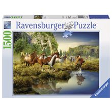 Ravensburger Дикие лошади