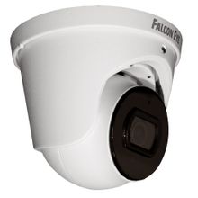 Falcon Видеокамера IP Falcon Eye FE-IPC-D2-30p, 2 Мп