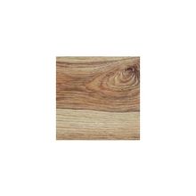 Дуб Камаргу