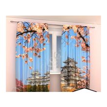 Фотошторы замок химедзи. япония