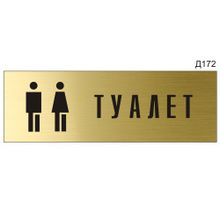 Информационная табличка «Туалет с пиктограммой» прямоугольная Д172 (300х100 мм)