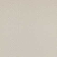 BN International Neo Royal 218640 BN218640