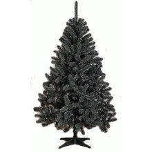  Ель рождественская голубая