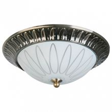 Toplight Накладной светильник TopLight Paulina TL5050Y-02AB ID - 422765