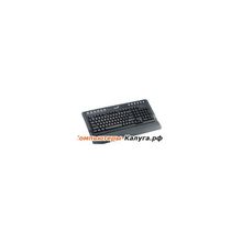 Клавиатура Genius KB-220 PS 2, Multimedia, 12 дополнительных клавиш, black, brown box
