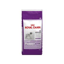 Royal Canin Giant Puppy  Active (Роял Канин Джайнт Паппи Актив) сухой корм для щенков 15 кг